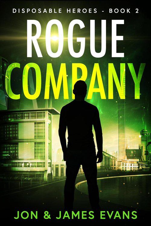 Rogue Company cover